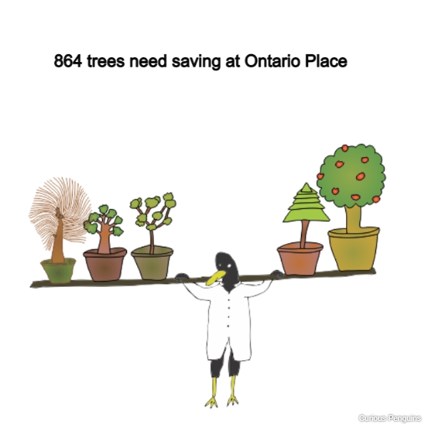 864 trees need saving